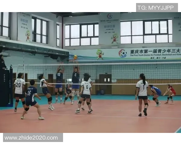 重庆排球队实力变革引发热议展现新风貌与发展潜力